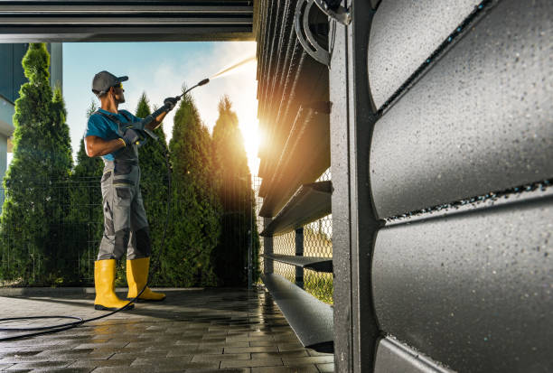 Best Graffiti Removal  in Sisseton, SD